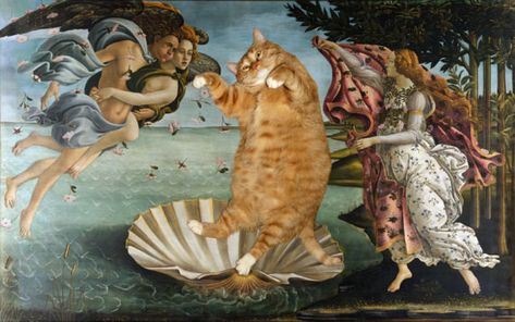 There is one cat in the world that makes all art in the world better. And it's not my cat unfortunately. It's Zarathustra. Cats Humor, Funny Kitties, Kitty Funny, Funny Kittens, Western Artwork, Cats Black, Most Famous Paintings, Funny Horses, Adorable Kittens