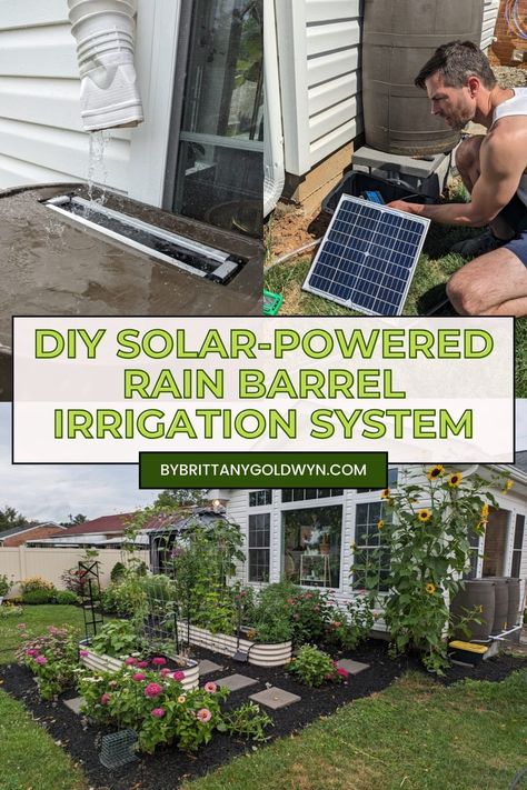 Learn how we set up a DIY solar-powered rain barrel irrigation system from scratch to harvest rainwater and reduce your water use! Rain Collection System, Irrigation System Diy, Irrigation Diy, Rain Barrel System, Collect Rainwater, Drip Irrigation Diy, Water Collection System, Rainwater Harvesting System, Garden Watering System