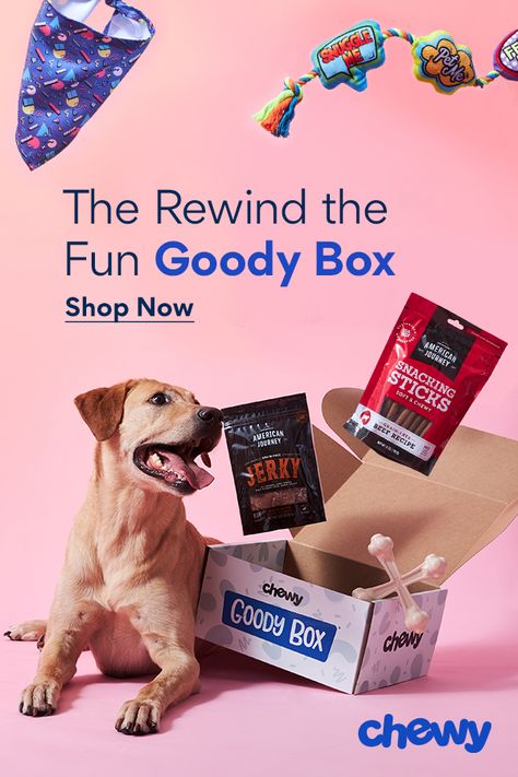 Dog Treat Packaging, Pet Store Design, Pet Advertising, Pet Store Ideas, Cool Treats, Puppy Dog Pictures, Throw It Back, Dog Box, Kitten Toys