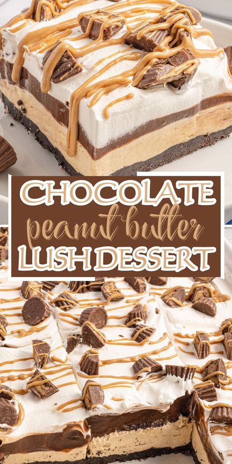 Peanut Butter Pie Birthday Cake, Peanut Butter Cup Dessert Recipes, No Bake Chocolate Peanut Butter Oreo Dessert, Cookie Layer Dessert, Peanut Butter Mousse Brownies, No Bake Chocolate Peanut Butter Mini Cheesecake, Easy Desserts With Chocolate Pudding, Peanut Butter Oreo Lush, Chocolate Peanut Butter Pudding Dessert