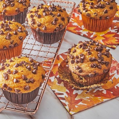 Pumpkin Chocolate Chip Muffin Recipe, Savory Pumpkin Recipes, Leftover Pumpkin, Pumpkin Chocolate Chip Muffins, Pumpkin Pie Mix, Pumpkin Spice Muffins, Pumpkin Chocolate Chip, Lemon Muffins, Special Cakes