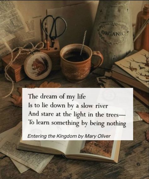 Cottagecore Aesthetic Quotes, Cottage Core Quotes, Quotes Cottagecore, Oliver Core, Cottagecore Quotes, Core Quotes, Cottagecore Books, Cottagecore Lifestyle, Poem Book