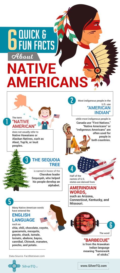 This infographic provides 6 Fun Facts about Native Americans,  which would be of interest to anyone trying to educate themselves further in Native American culture and history. Native American Education, Native American Art Projects, Native American Facts, Facts About America, Native American Projects, Native American Heritage Month, Native American Wisdom, American Indian History, Indigenous Peoples Day