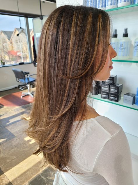 Brunette Layered Hair With Highlights, Long Layered Hair Face Frame, Highlights With Layered Hair, Light Caramel Highlights On Dark Brown Hair, Medium Layered Hair With Highlights, Haircut Ideas Highlights, Brunette Balayage Hair Long Layers, Ash Brown With Honey Highlights, Hair Cut Ideas 2024 Trends