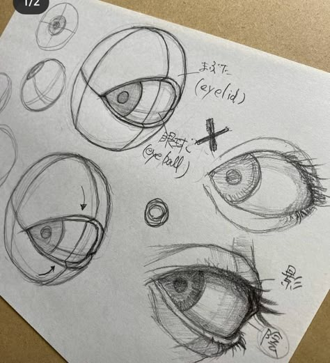 Eye Study Drawing Anatomy, Eye Angles, Drawing For Embroidery, Basic Drawings, Reference Portraits, Eye Study, Eye Anatomy, Color Theory Art, Abstract Pencil Drawings