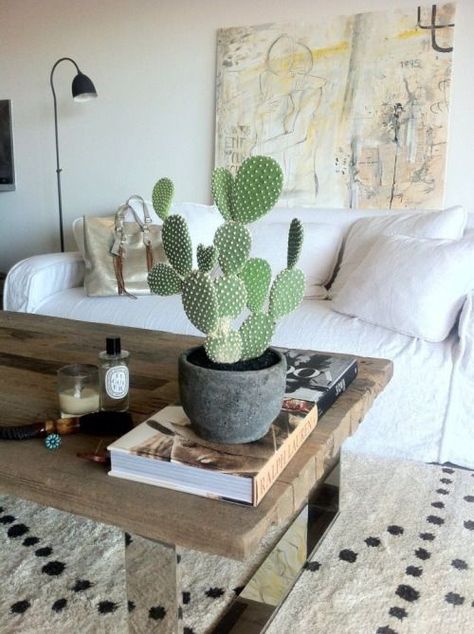 smgaito Home Décor, Cactus, Furniture, Living Room, Coffee, Potted Cactus, Pallet Coffee Table, Coffee Table, Couch