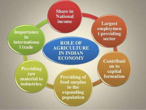 Role Of Agriculture in Indian Economy