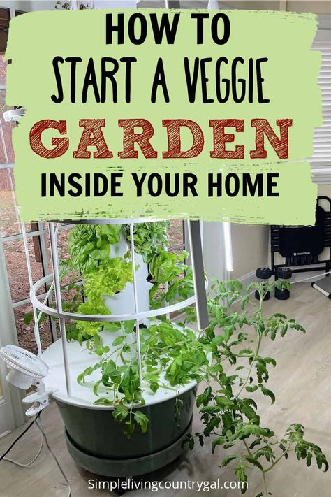 how to start a vegetable garden indoors. Grow your own vegetables in the comfort of your home! With the right amount of light, water, and nutrients, you can enjoy all the benefits of home-grown veggies in no time. From cherry tomatoes to mini peppers and baby greens--find out what plants work best for indoor growth and get started on your very own vegetable garden today. Indoor Vegetable Garden Ideas, Indoor Food Garden, Food Garden Design, Indoor Vegetable Garden, Start A Vegetable Garden, Grow Your Own Vegetables, Growing Vegetables Indoors, Mini Peppers, Indoor Vegetables