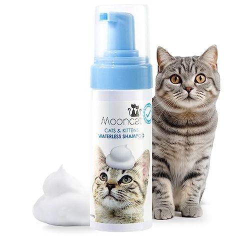 Cat Shampoo, Cat Bath, Types Of Cats, Cute Little Kittens, Natural Cat, Cat Travel, Free Cats, Large Cats, Indoor Cat