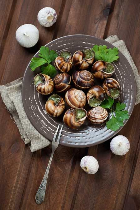 Escargot is served as an appetizer in Spain & France. Butter and fresh herbs serve to make this a tasty dish. Recipe for Escargots de Bourgogne included. Escargot Recipes, French Escargot, Escargot Recipe, Hot Crab Dip Recipe, Ethical Leadership, Garden Lunch, Crab Dip Recipe, Whimsical Dragon, Toriel Undertale