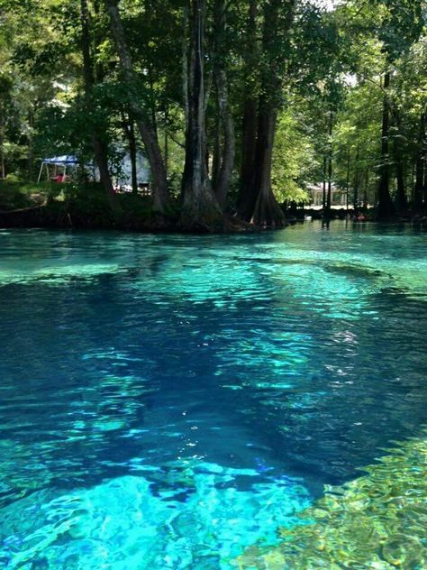 Ginnie springs, north florida Canoes, Holiday Places, Vacation Destinations Europe, Ginnie Springs, Destination Vacation, Florida Springs, Europe Vacation, Canoeing, Vacation Places