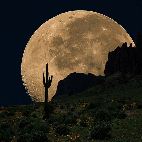 Beautiful moon Pixel Photography, Desert Moon, Shoot The Moon, Moon Moon, Moon Pictures, Sun Moon Stars, Good Night Moon, Moon Rise, Arizona Usa