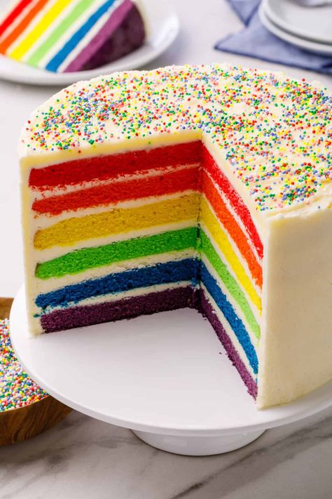 Rainbow Cake Ideas, Rainbow Cake Decoration, Rainbow Layer Cake, Rainbow Sprinkle Cakes, Rainbow Cake Recipe, Neon Cakes, Rainbow Layer Cakes, Rainbow Birthday Cake, Homemade Birthday Cakes