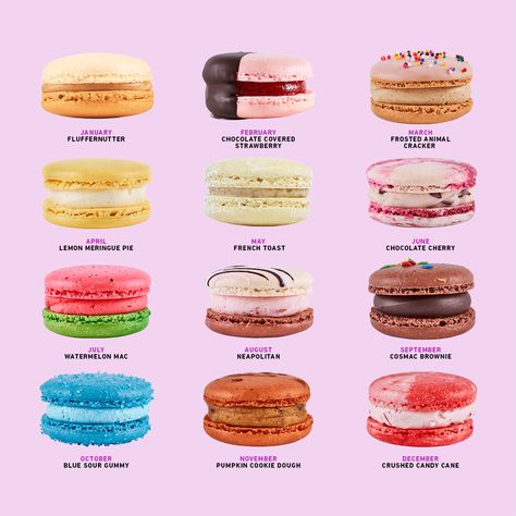 Get the best of both worlds with the 2021 calendar bundle. Featuring all the flavors of the month for macarons AND Mookies from 2021. Cool Macarons, January Flavors, Macaroons Aesthetic, French Macarons Flavors, Pumpkin Cookie Dough, Macaron Bakery, Macaroons Flavors, Best Macarons, Frosted Animal Crackers