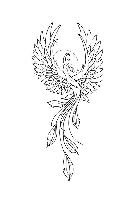 Phoenix Design Drawing, Feminine Pheonix Tattoo Design, Mystical Creature Tattoos, Feminine Tattoo Stencil, Phoenix Art Drawing, Phoenix Tattoo Design Feminine, Phoenix Stencil, Phoenix Outline, Feminine Phoenix Tattoo