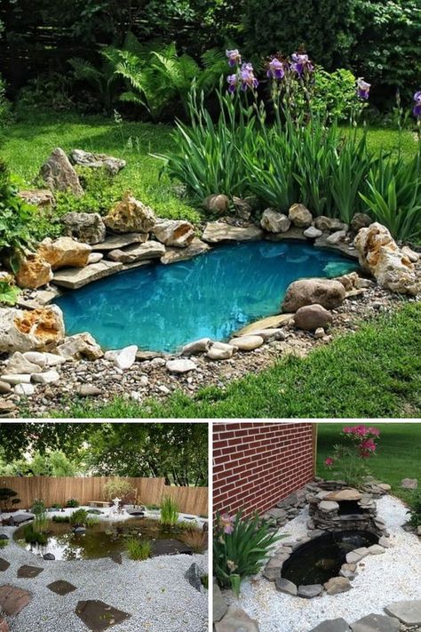 Nothing gives an instant face-lift to your garden or backyard like a gorgeous pond at its heart. The best DIY ponds are ones you can create with relative ease and do not cost you a fortune. 🙂 #diypondideas #diypond #backyardpond Gazebo Diy, Plastic Pond, Garden Pond Ideas, Backyard Pond Ideas, Backyard Ponds, Diy Gazebo, Building A Pond, Backyard Pond, Diy Pond