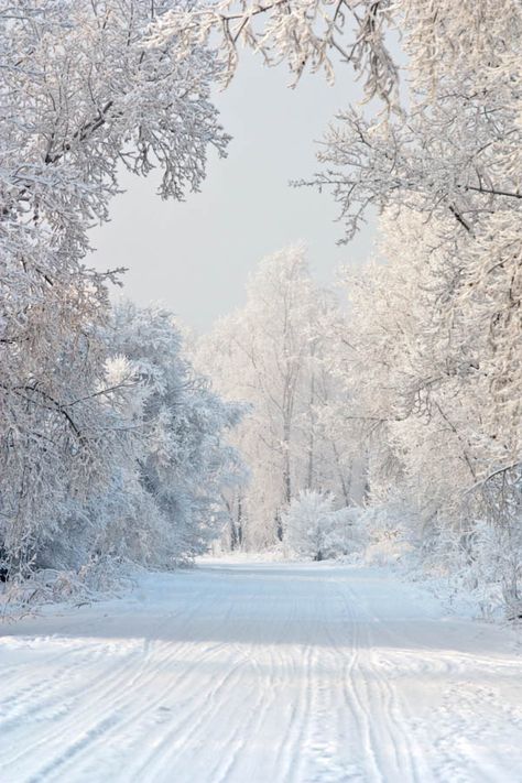 Winter wonderland!!!!!!!!!!! Winters Tafereel, Snowy Road, Winter Szenen, I Love Snow, I Love Winter, Winter Love, Winter Magic, Winter Scenery, Winter Beauty