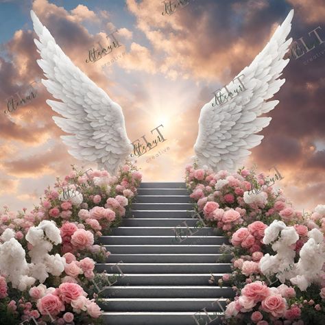 Heaven Background, Angel Wings Background, Memorial Background, Angel Wings Png, Ali D'angelo, Stairs To Heaven, White Angel Wings, Background Transparent, Background Template