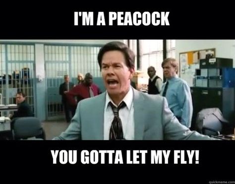 I'm a peacock captain u gotta let me fly! Funny Films, Film Quotes, Humour, Life Motto, Fav Movie, The Other Guys, Seriously Funny, Funny As Hell, Favorite Movie