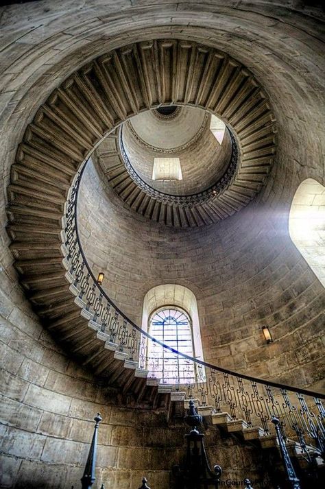 Wish I knew where it was... Trondheim, St Pauls Cathedral London, St Paul's Cathedral, Bel Art, Hogwarts Aesthetic, St Pauls Cathedral, Spiral Stairs, Stairway To Heaven, Spiral Staircase