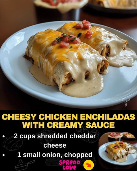 Cheesy Chicken Enchiladas with Creamy Sauce Cheese Sauce For Chicken, Tender Shredded Chicken, Cheesey Chicken, Chicken Cheese Enchiladas, Beef Tips And Noodles, Creamy Enchilada, Baked Meatloaf, Cheesy Enchiladas, Mexican Casserole Recipe