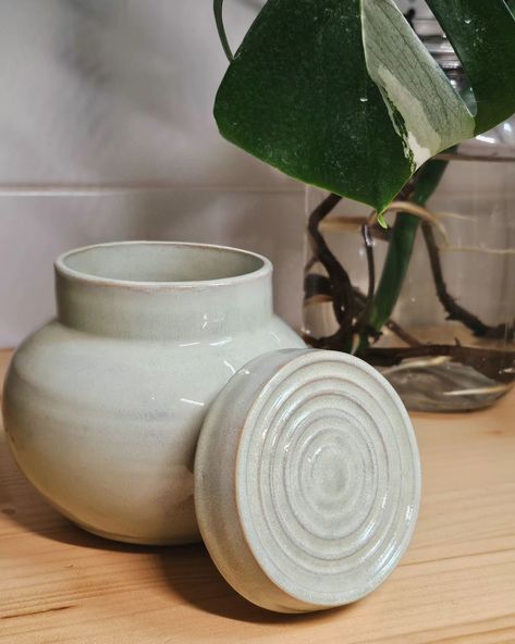 Concentric circles jar by D.R. #pottery #ceramics #clay #jar Lidded Pots Ceramics, Ceramics Lidded Jar, Ceramic Throwing Ideas Pottery Wheel, Lidded Jars Ceramic Pottery Ideas, Pinch Pot With Lid, Wheel Pottery Ideas, Ceramic Lidded Jars, Crazy Ceramics, Lidded Jars Pottery