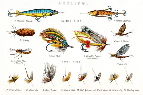 Opinion: The lure of the fly: Fly fishing’s ‘renaissance’ isn’t really new, but it’s welcome anyway - The Globe and Mail Flies Illustration, Nautical Pictures, Nautical Artwork, Trout Flies, Unique Gifts For Dad, Salmon Flies, Fish Illustration, Illustrated Map, Free Vector Graphics