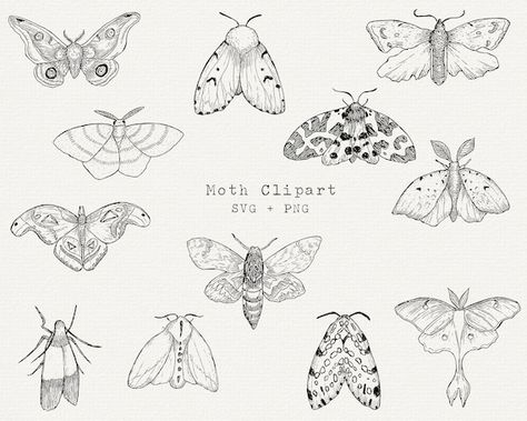 Moth SVG Moths Clipart Moth SVG Bundle Moth Line Drawing | Etsy Moth Line Drawing, Moth Outline, Moth Drawing, Silhouette Logo, Moth Tattoo, Line Art Design, Insect Art, Laser Printer, Image Editing