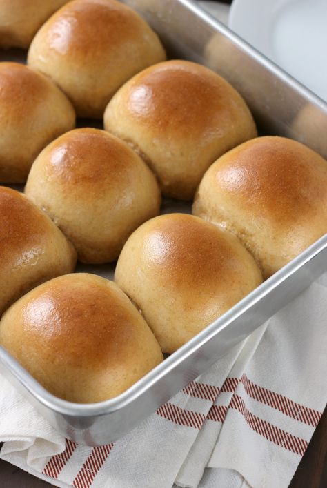 Wheat Dinner Rolls Recipe, Dinner Rolls Recipe Easy, Whole Wheat Dinner Rolls, Wheat Dinner Rolls, Wheat Rolls, Rolls Recipe Easy, Dinner Roll Recipe, Sweet Potato Dinner, Wheat Recipes