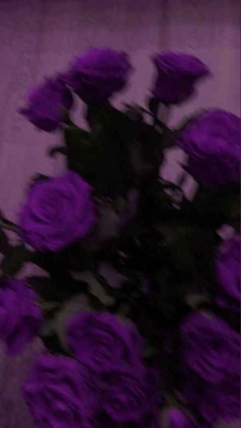 Purple Boyfriend Aesthetic, Roses Aesthetic Purple, Gothic Album Covers, Dark Flower Asthetics Photos, Rose Purple Aesthetic, Dark Purple Flowers Aesthetic, Hot Purple Aesthetic, Purple Rose Aesthetic, Purple Emo Aesthetic