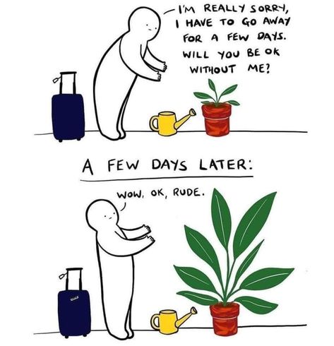 Plant Jokes, How To Save Water, Zone 9b, Sustainable Gardening, Plants Are Friends, Sustainable Garden, House Plants Decor, Without Me, Plant Mom