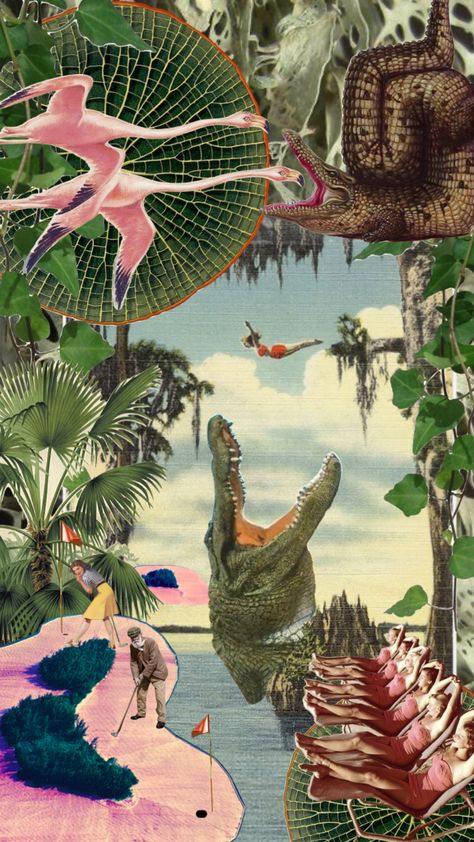 an ode to an old home 🍊🐊 #florida #vintage #beach #collageart #home Vintage Florida Aesthetic, Vintage Florida Wallpaper, Florida Collage, Old Florida Aesthetic, Old Florida Wallpaper, Vintage Florida Art, Old Florida Art, Florida Interior Design, Palm Beach Regency