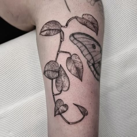 Everythingoes Tattoo, Philodendron Plant Tattoo, Pothos Tattoo, Serena Core, Photos Tattoo, Melbourne Tattoo, 100 Tattoo, Wildflower Tattoo, Plant Tattoo