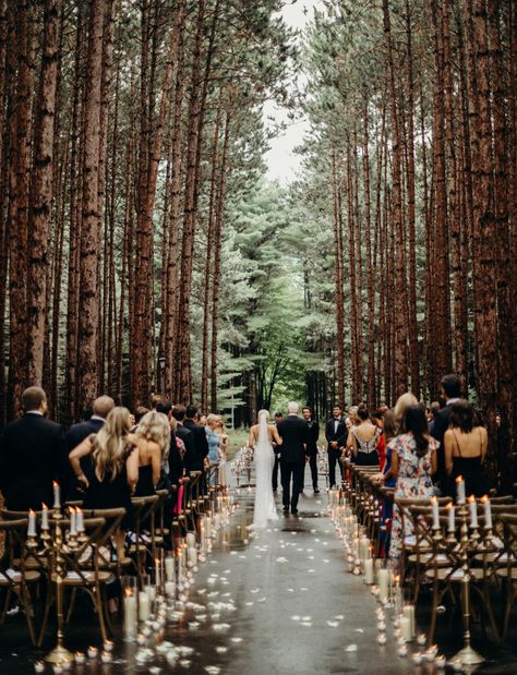 Forest Green Wedding, Twilight Wedding, Forest Theme Wedding, Torch Lake, Enchanted Forest Wedding, Stil Boho, Fairy Wedding, Future Wedding Plans, Lake Wedding