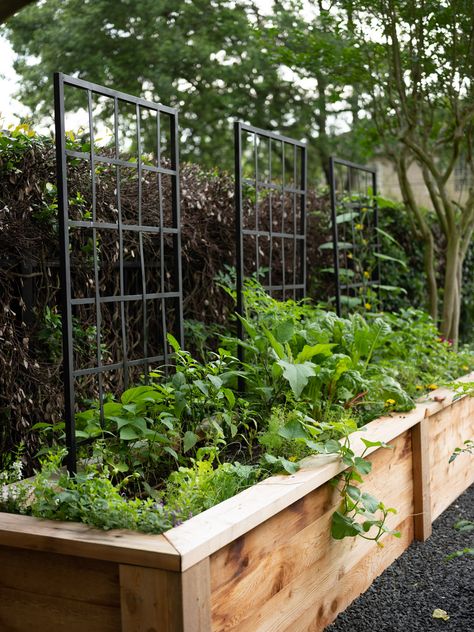 Learn which three mistakes you should avoid when building a raised garden bed in order to find long-term success for your kitchen garden. Tall Garden Boxes, Raised Garden Fence Ideas, Long Narrow Raised Garden Bed, Tiered Raised Beds, How To Build Planter Boxes, Raised Garden Beds Fenced In, Tall Garden Beds, Raised Garden Ideas, Raised Garden Bed With Trellis