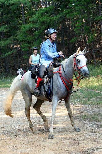 Riding Spooky Horses on the Trail