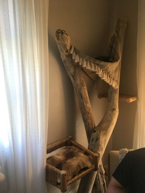 Driftwood Cat Tree, Rustic Pet Decor, Diy Cat Tree Driftwood, Pirate Ship Cat Tree, Real Branch Cat Tree, Diy Cat Hammock, Cat Tree Made From Real Tree, Cat Tree Designs, Cat Tree Scratching Post