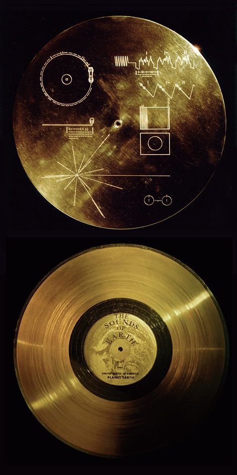 The Voyager Golden Record sent by NASA in 1977 on both space probes, Voyager 1 and 2. Ucontents and Carl Sagan's work Voyager Golden Record, Golden Record, Space Probe, Astronomy Science, Carl Sagan, Space Nasa, Science Facts, Space And Astronomy, Science Art