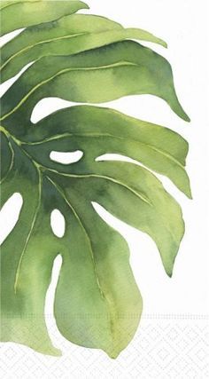 Monstera Leaf on Pinterest Flower Oasis, Guest Towel, 수채화 그림, Flower Leaf, Tropical Leaf, Watercolor Leaves, Watercolor Inspiration, Guest Towels, Leaf Art