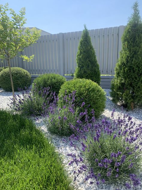 Eye-catching Landscaping Inspirations with Lavenders Dream Garden Backyards, River Rock Garden, Front Lawn Landscaping, Front Garden Landscape, Front Yard Garden Design, Fall Garden Vegetables, Recycled Garden, Modern Garden Design, Have Inspiration