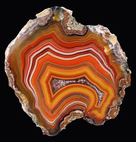 River Crossing Condor Agate | 2x1.75" | Ira Bradford | Flickr Coyamito Agate, Horned Lizard, Crystal Specimens, Crystal Castle, Geology Rocks, Orange Agate, Raw Minerals, Pretty Rocks, Beautiful Stones