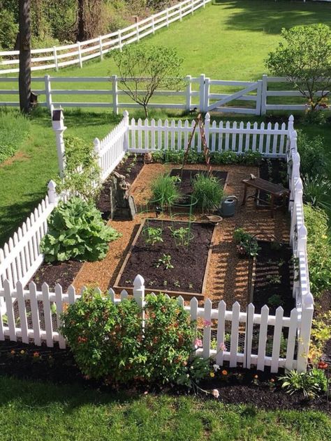 Fenced Vegetable Garden, Potager Garden, Backyard Vegetable Gardens, White Picket Fence, Farmhouse Garden, The Secret Garden, Home Vegetable Garden, Vegetable Garden Design, Pergola Patio