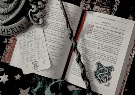 Slytherin Vibes, Hogwarts Library, Harry Potter Groups, Winter King, Harry Potter Background, Harry Potter Oc, Slytherin Harry Potter, Harry Potter Dr, Harry Potter Houses