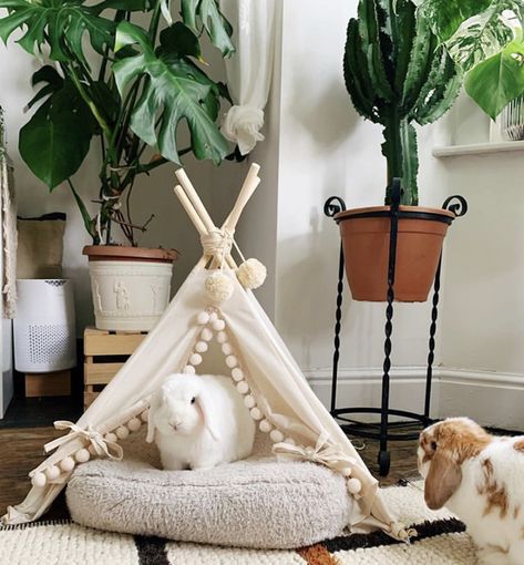 Bunny Bed Diy, Bunny Care Tips, Bunny Bed, Bunny Home, Bunny Beds, Katt Grejer, Pet Teepee, Bunny Hutch, Bunny Room