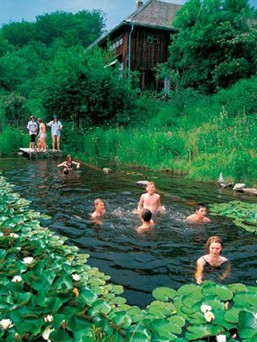 Natural Swimming Ponds, Swimming Pond, Natural Pond, Natural Swimming Pools, Natural Swimming Pool, Dream Pools, Ponds Backyard, Natural Pool, Swimming Pool Designs