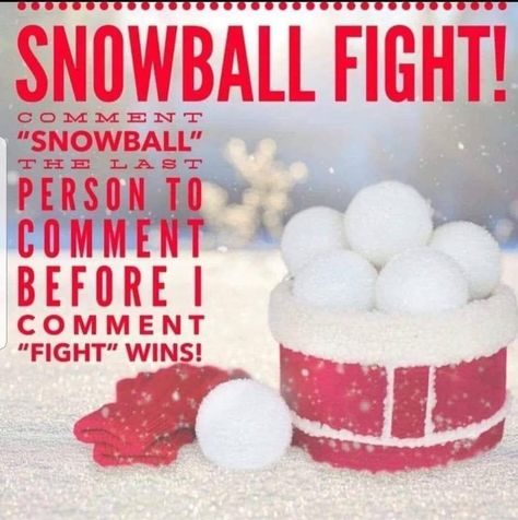 Scentsy Christmas Game, Engagement Posts Facebook, Avon Party Ideas, Facebook Party Games, Scentsy Facebook Party, Fall Party Games, Mary Kay Christmas, Scentsy Facebook, Younique Party