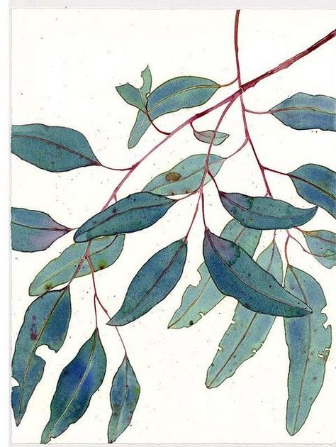 The Common Thread Gum Leaves, Cat Air, Hur Man Målar, 수채화 그림, Flowers Gift, Water Colors, Watercolor Inspiration, Botanical Illustration, Art Paint