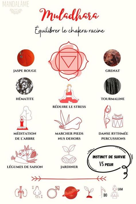 Le chakra racine : Toujours se sentir ancré à la terre avec des pierres de chakra racine comme le grenat rouge, le quartz fumé, l'onyx noir et l'hématite. Pour équilibrer le chakra racine, il faut une pierre rouge comme le jaspe rouge et le combiné à d’autres minéraux. Le jaspe rouge soulage l’indigestion, les flatulences et la constipation. Il possède des pouvoirs curatifs, régénère les tissus et renforce le système immunitaire. Muladhara Chakra, Manipura Chakra, Sahaja Yoga, Root Chakra Healing, Daily Yoga Workout, Chakra Racine, Holistic Therapies, Chakra Yoga, Relaxation Meditation