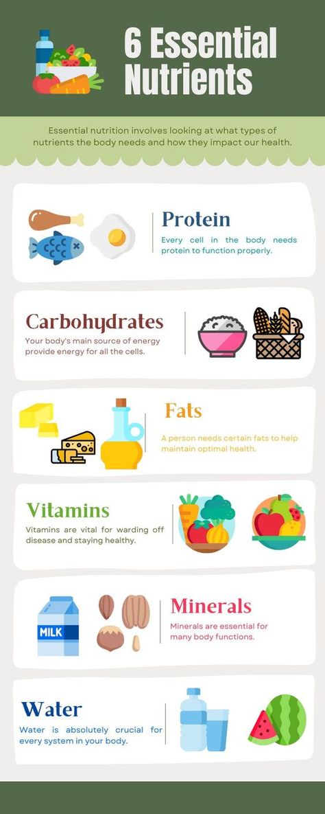 6 Essential Nutrients 6 Essential Nutrients, Stomach Fat Burning Foods, Healthy Nutrition Plan, Nutrition Chart, Sustainable Seafood, Best Fat Burning Foods, Essential Nutrients, Nutrition Plans, Healthy Nutrition