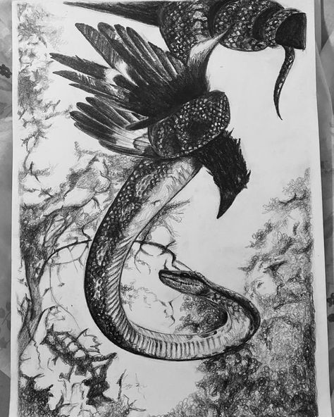 Contradiction Art, Snake Sketch, Crow Photos, Crows Drawing, Art Competition Ideas, Nature Scene Tattoo, Snake Drawing, Bird Sketch, Nature Sketch